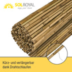 Sol Royal Bambus Sichtschutz Zaun SolVision B38